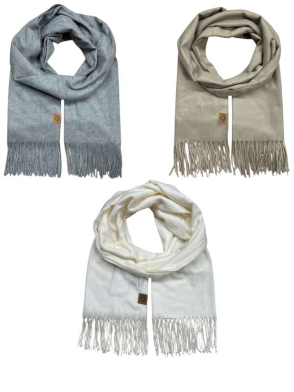 INVIERNO