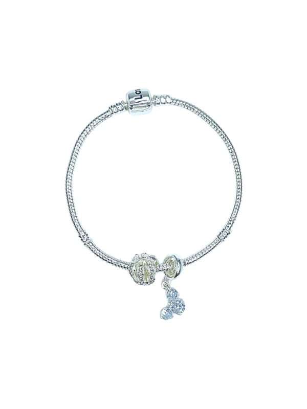 Pulsera Tipo Pandora + 2 Charms