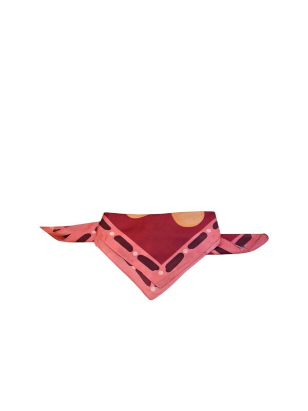 Alternative view of pañuelos