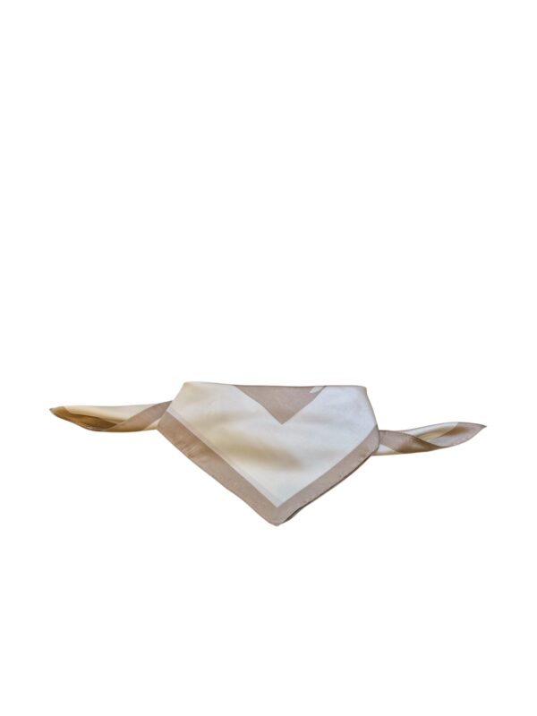 Alternative view of pañuelos