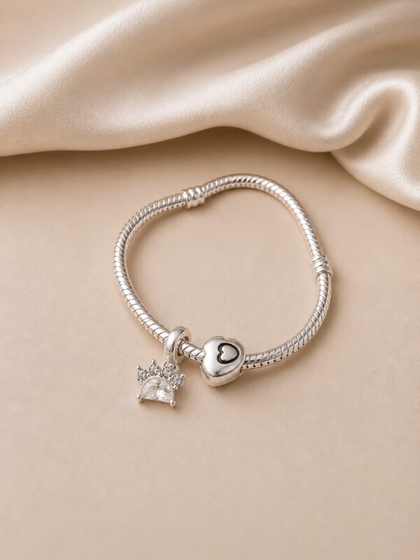 Pulsera Tipo Pandora Acero