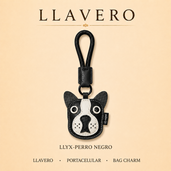 Alternative view of Llaveros