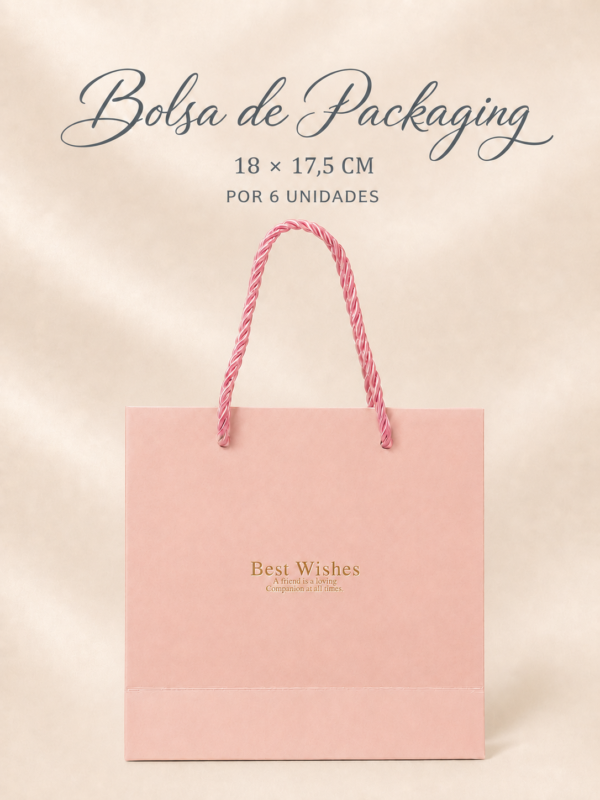 Bolsa de Packaging x6